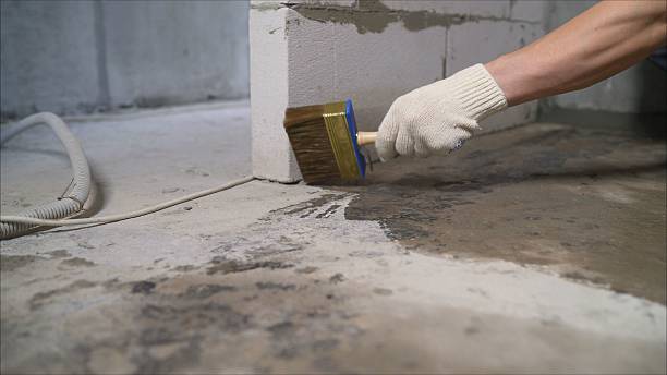 SJ Waterproofing Pros Emergency Waterproofing coverage map for Bellevue, IL and surrounding area